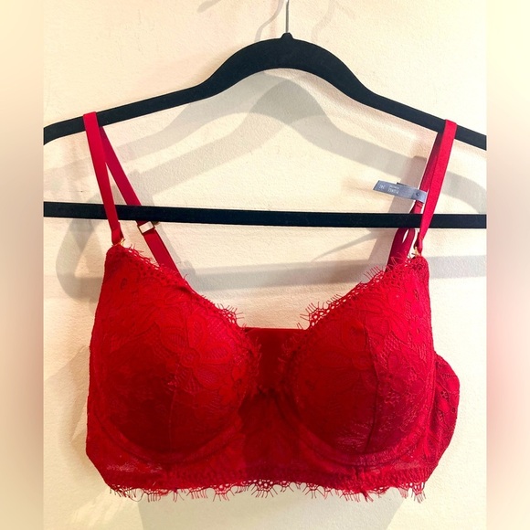 AERIE Sz 34C Padded Deep Plunge Adjustable Straps and Back J-Hook Lace Bra NEW - Picture 1 of 8